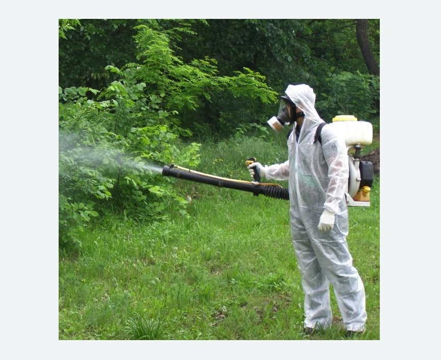 обработка дачи от клещей обработка территории от клещей Волоколамская метро Москвы