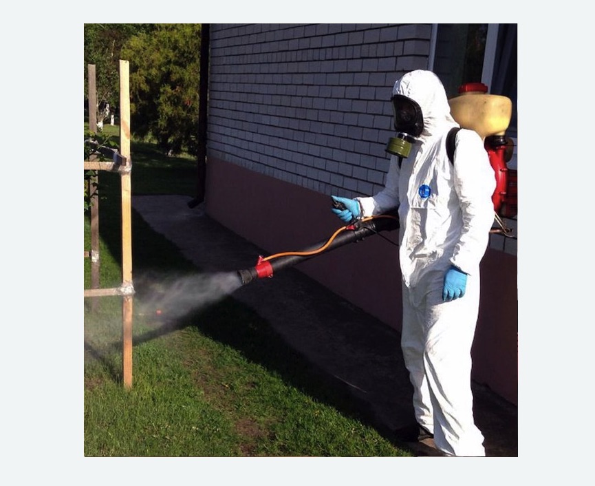 уничтожение клещей на участке травля клещей на участке Волоколамская метро Москвы