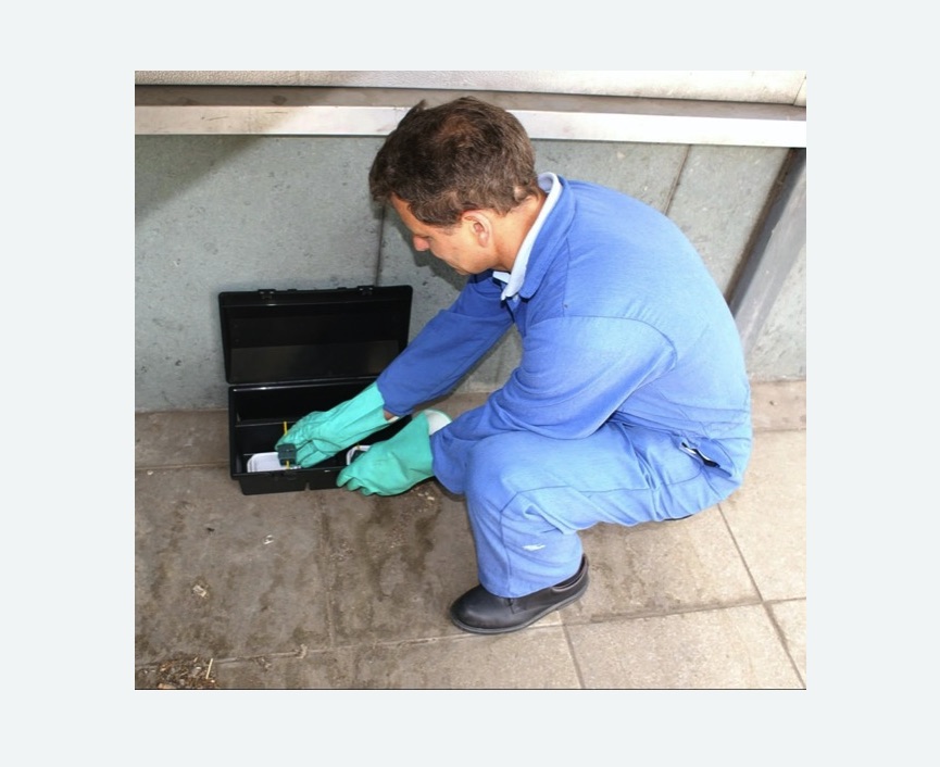 Уничтожение мышей Волоколамская метро Москвы Уничтожение мышей