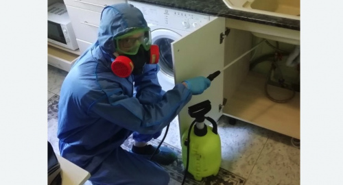 Уничтожение муравьев в квартире. Волоколамская