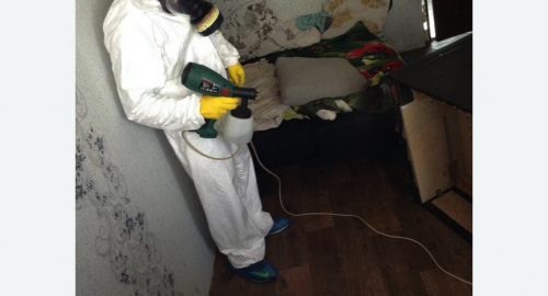 Обработка квартир от насекомых Волоколамская метро Москвы