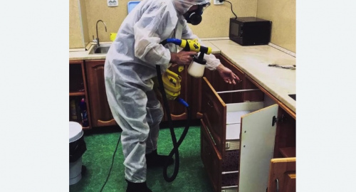 Дезинсекция квартиры. Волоколамская