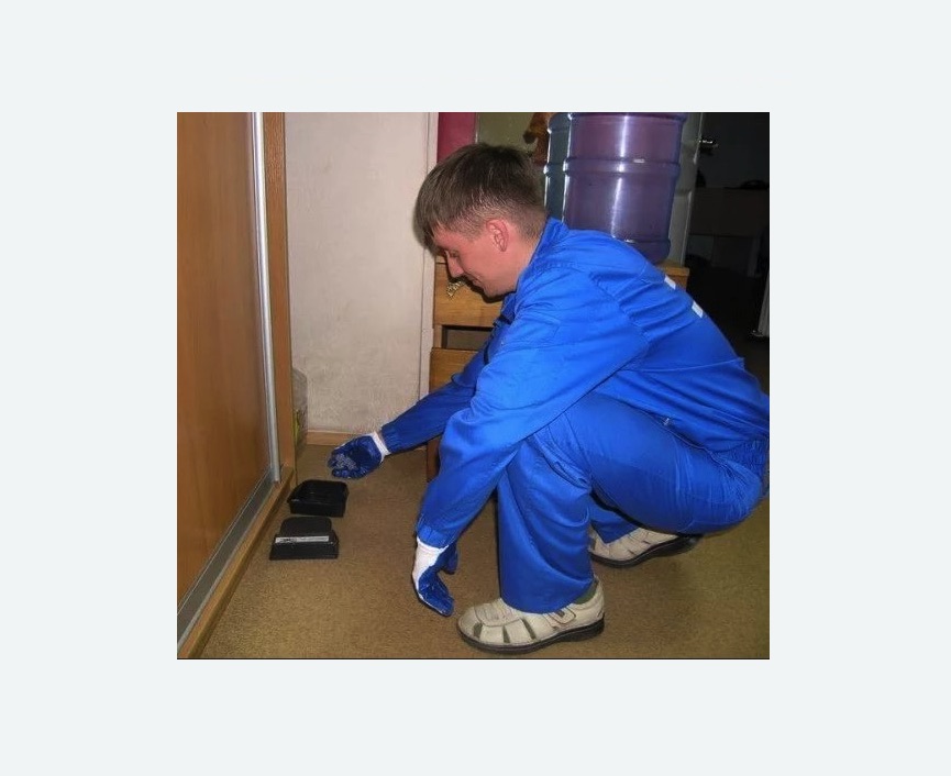 Дератизация крыс Дератизация крыс Волоколамская метро Москвы