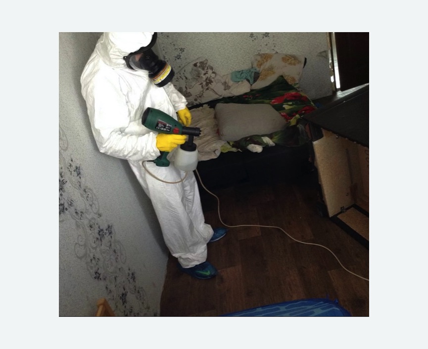 Обработка от насекомых Волоколамская метро Москвы Обработка квартиры от насекомых