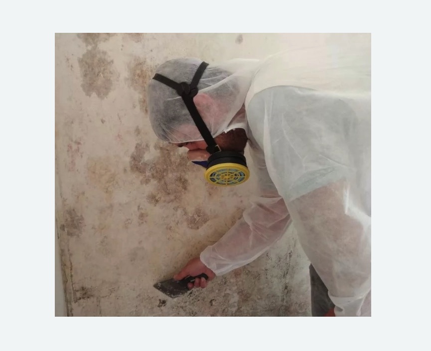 Обработка стен от плесени Волоколамская метро Москвы