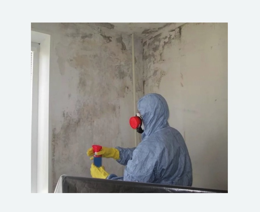 Удаление плесени в квартире Волоколамская метро Москвы