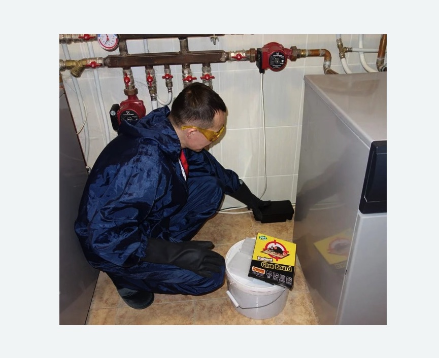 Уничтожение крыс Уничтожение крыс Волоколамская метро Москвы