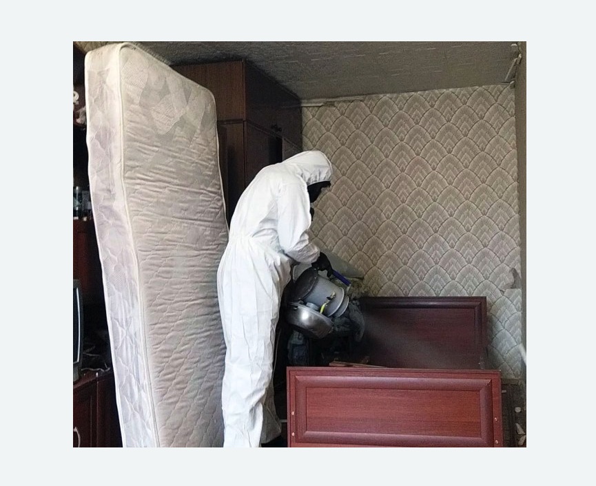 дезинфекция от клопов дезинфекция от клопов Волоколамская метро Москвы