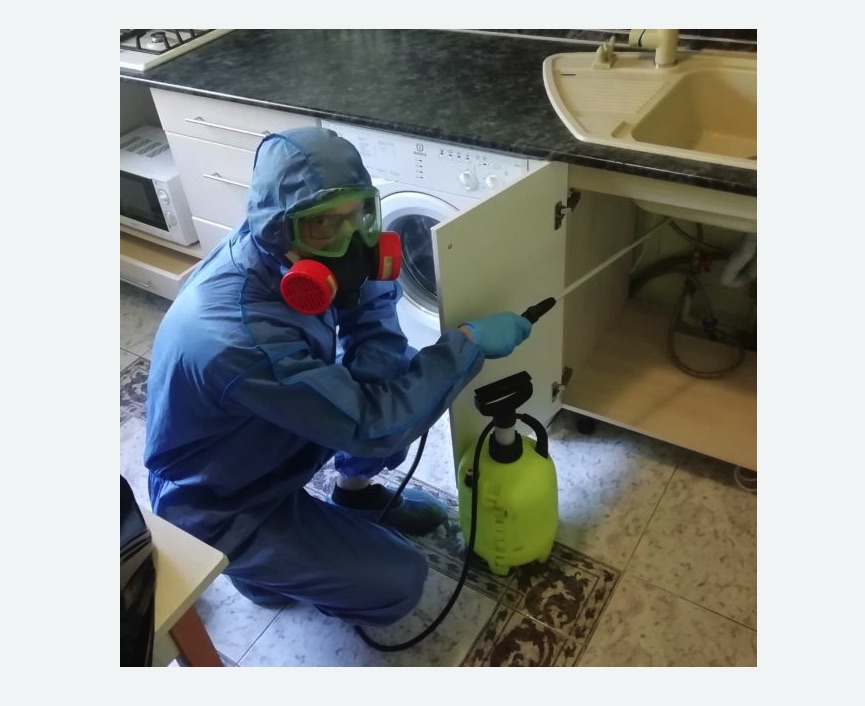 обработка от муравьев в квартире Волоколамская метро Москвы