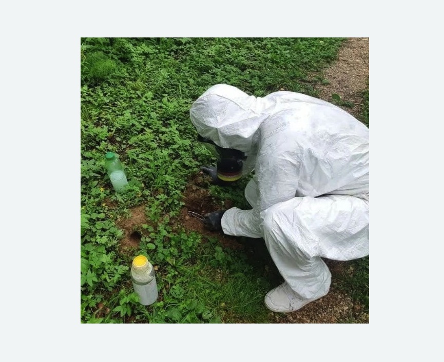 уничтожение кротов на участке уничтожение кротов на участке Волоколамская метро Москвы