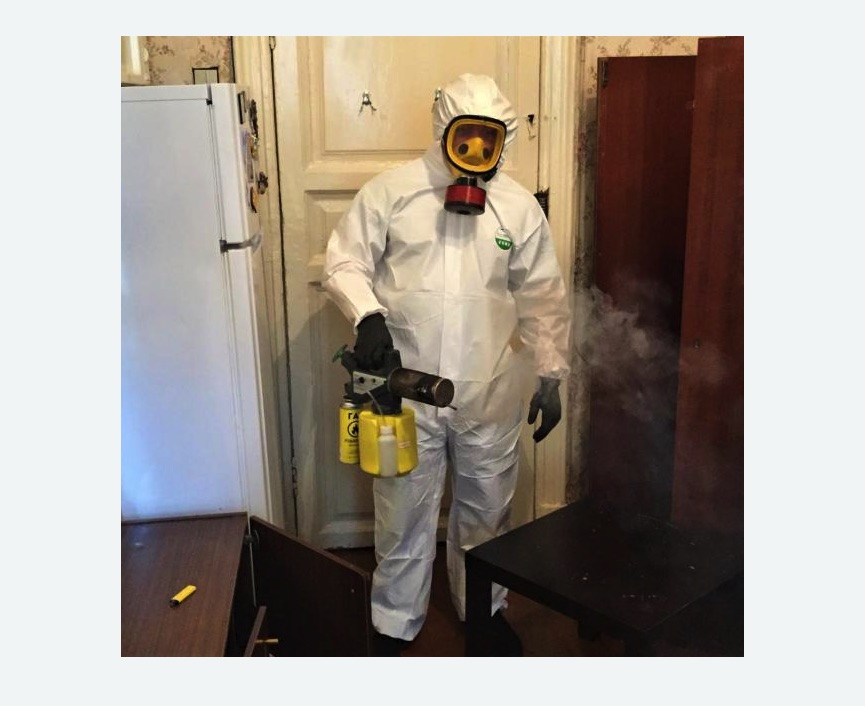 уничтожение муравьев в квартире Волоколамская метро Москвы